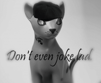 Cat Wearing Hat Saying Don't Even Joke Lad GIF
