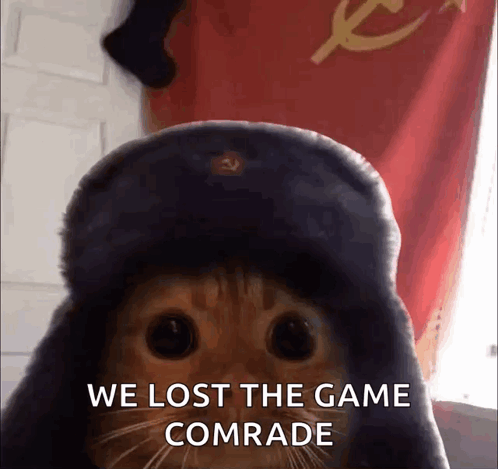 Cat Wearing Hat With We Lost The Game Comrade GIF