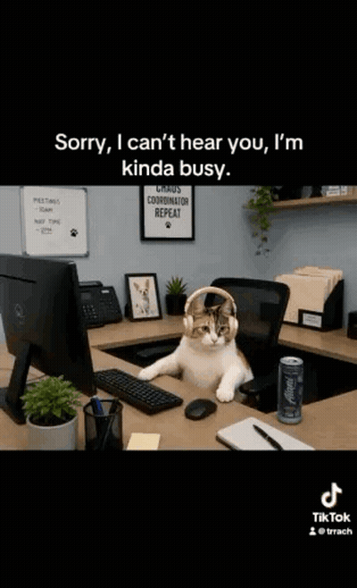 Cat Wearing Headphones At Desk GIF