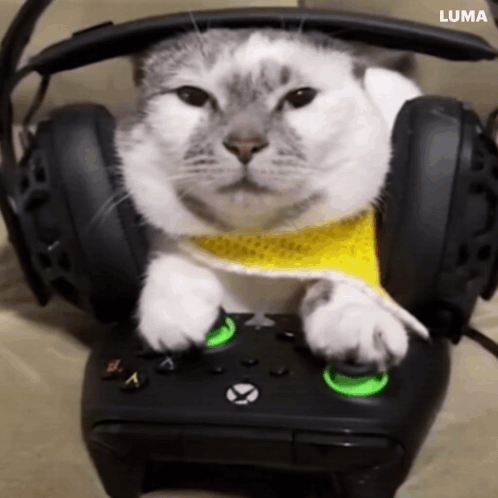 Cat Wearing Headphones Playing Video Game Controller GIF
