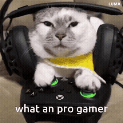 Cat Wearing Headphones Playing Video Game GIF