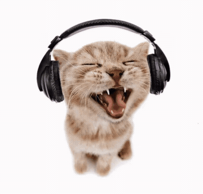 Cat Wearing Headphones With Mouth Open And Eyes Closed GIF