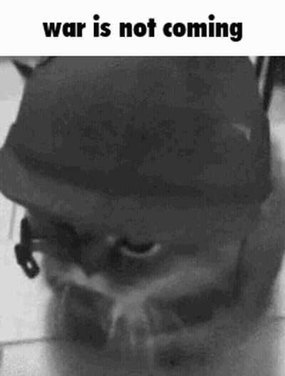 Cat Wearing Helmet War Is Not Coming GIF