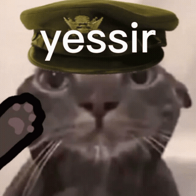 Cat Wearing Military Hat Saying Yessir GIF