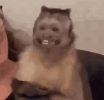 Cat Wearing Monkey Mask Close Up GIF