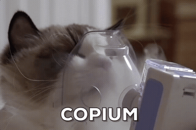 Cat Wearing Oxygen Mask Copium GIF