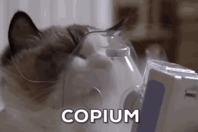 Cat Wearing Oxygen Mask With Copium GIF