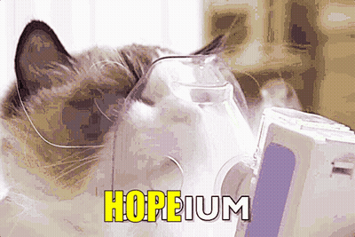 Cat Wearing Oxygen Mask With Hopeium GIF