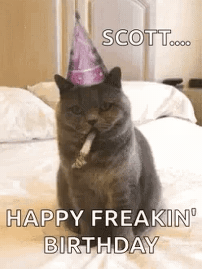 Cat Wearing Party Hat And Smoking GIF