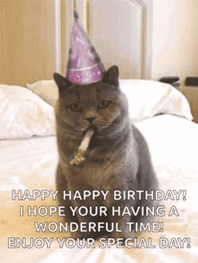 Cat Wearing Party Hat Blowing Party Horn GIF