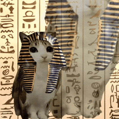 Cat Wearing Pharaoh Hat With Egyptian Writing GIF