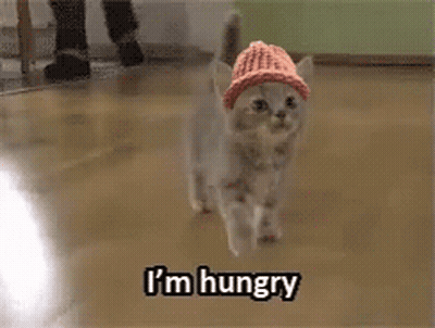 Cat Wearing Pink Hat Walking On Wooden Floor GIF