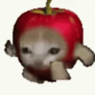 Cat Wearing Red Apple Hat GIF