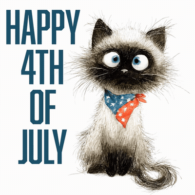 Cat Wearing Red White And Blue Scarf Saying Happy 4Th Of July GIF