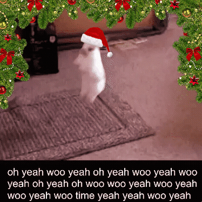 Cat Wearing Santa Hat Surrounded By Christmas Trees GIF