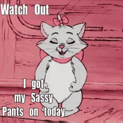 Cat Wearing Sassy Pants GIF