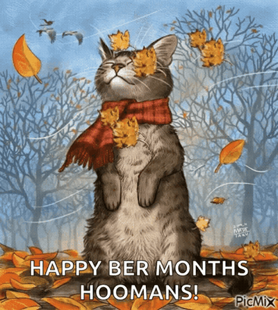 Cat Wearing Scarf And Leaves Happy Ber Months Hoomans GIF
