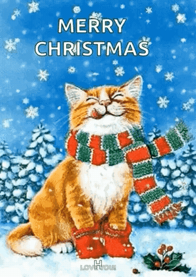 Cat Wearing Scarf And Socks In Snow GIF