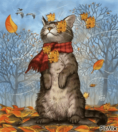 Cat Wearing Scarf With Leaves On Face GIF