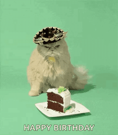 Cat Wearing Sombrero Eating Cake GIF