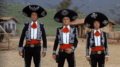 Cat Wearing Sombrero Hat GIF