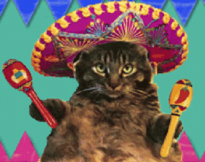 Cat Wearing Sombrero Holding Maraca GIF