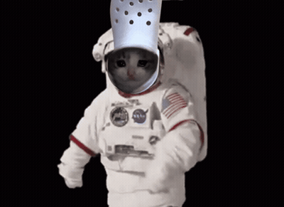 Cat Wearing Space Suit With Croc GIF