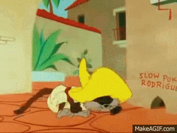 Cat Wearing Speedy Gonzales Clothes GIF