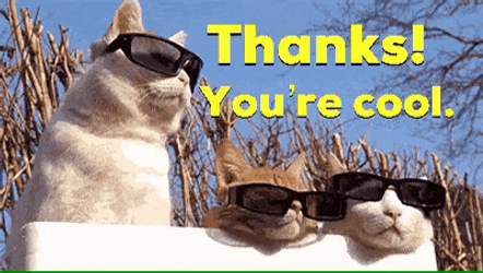 Cat Wearing Sunglass Animated Thank You GIF