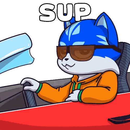 Cat Wearing Sunglasses And Helmet With Sup Sticker