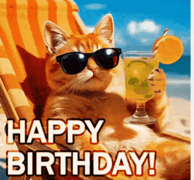 Cat Wearing Sunglasses Holding Drink On Beach GIF