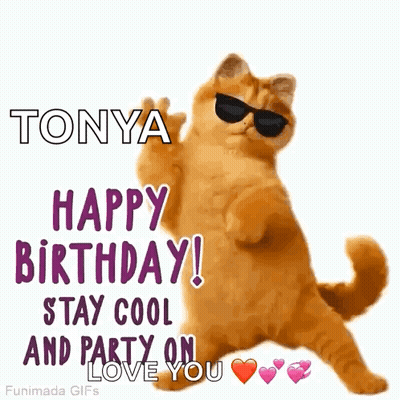 Cat Wearing Sunglasses Holding Drink On Beach GIF