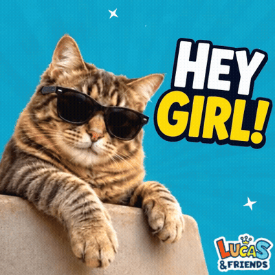 Cat Wearing Sunglasses Laying On Blue Background Saying Hey Girl GIF