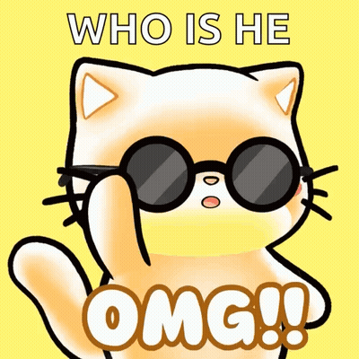 Cat Wearing Sunglasses Who Is He GIF