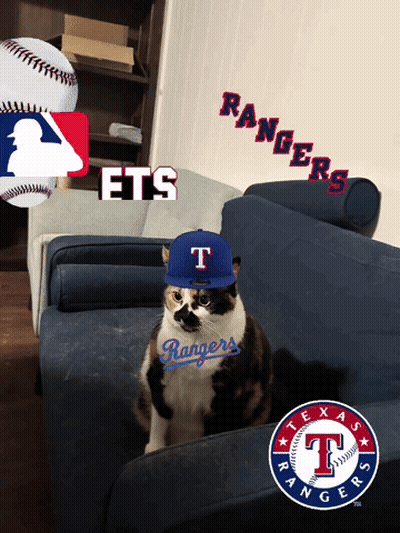 Cat Wearing Texas Rangers Hat Sitting GIF