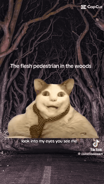 Cat Wearing Tie Flesh Pedestrian GIF