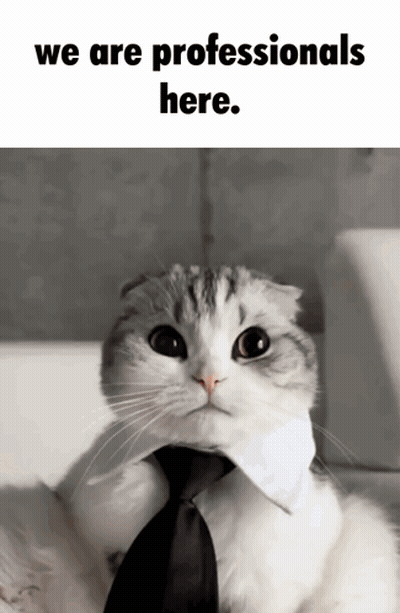 Cat Wearing Tie Saying We Are Professionals Here GIF