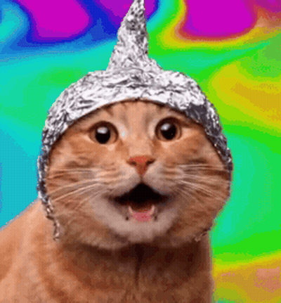 Cat Wearing Tin Foil Hat On Colorful Background GIF