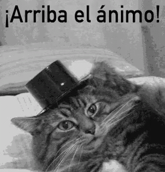 Cat Wearing Top Hat With Arriba El Animo GIF