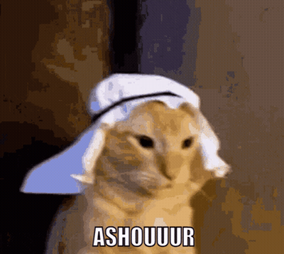 Cat Wearing Towel Saying Ashouuur GIF