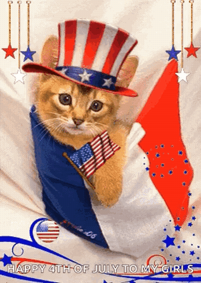 Cat Wearing Uncle Sam Hat Holding American Flag GIF