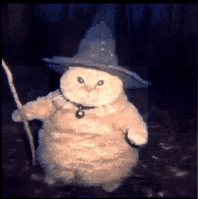 Cat Wearing Witch Hat Holding Cane GIF