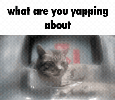 Cat What Are You Yapping About GIF