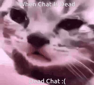 Cat When Chat Is Dead Dead Chat GIF