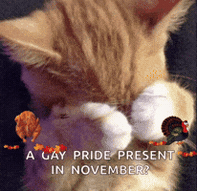 Cat With A Gay Pride Present In November GIF