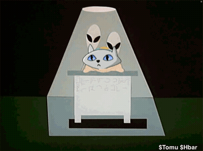 Cat With Alien Ears Holding Sign Stomu $Hbar GIF