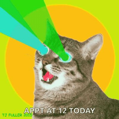 Cat With Appt At 12 Today GIF
