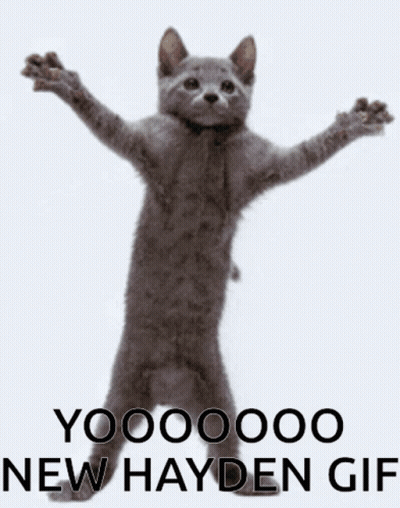 Cat With Arms Outstretched Saying Yooooooo New Hayden GIF