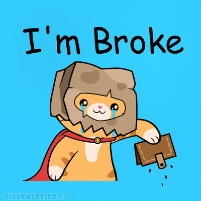 Cat With Bag On Head Saying I'm Broke GIF
