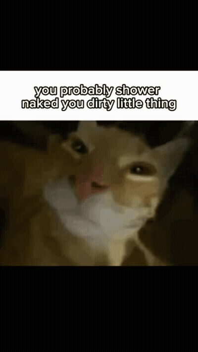 Cat With Beard Says You Probably Shower Naked You Dirty Little Thing GIF